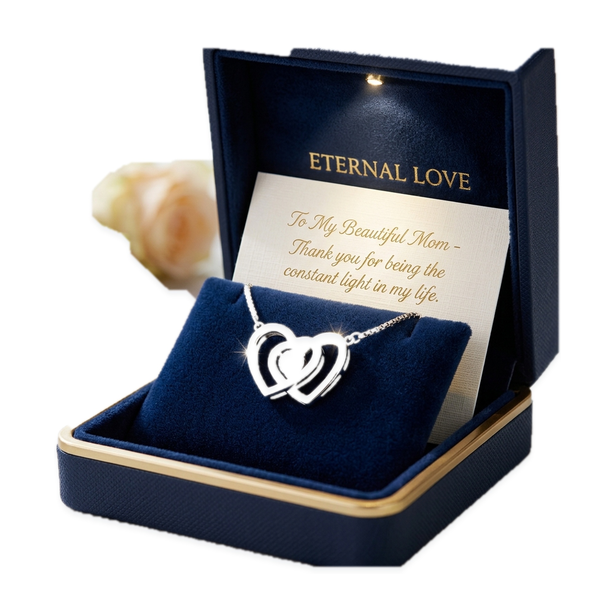 The Interlocking Eternity Bond: 14K Gold Vermeil Duo-Circle Necklace with Moissanite Pave